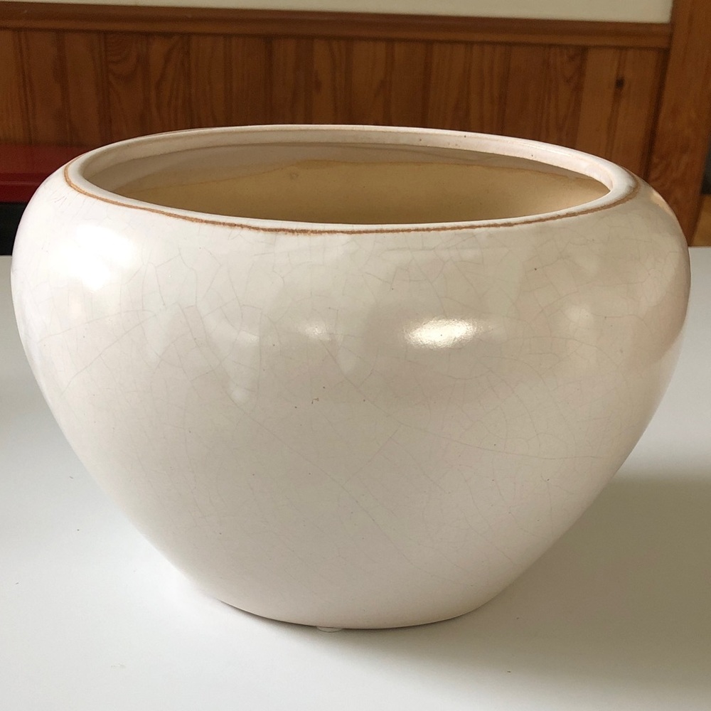 Elegant Cream Ceramic Vase